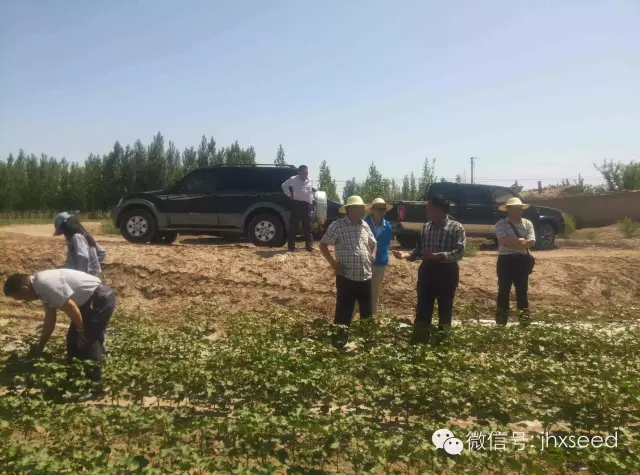 威尼斯144777cm(中国)有限公司-BinG百科