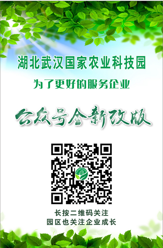 威尼斯144777cm(中国)有限公司-BinG百科